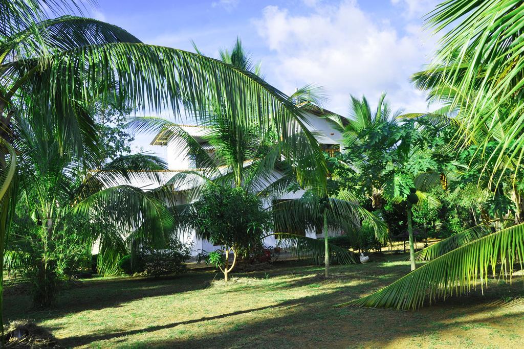 Hotel Coconut Garden House à Uda Walawe Extérieur photo