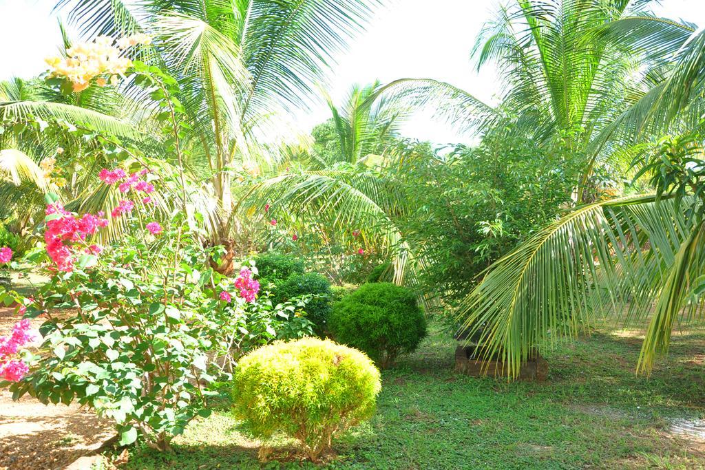 Hotel Coconut Garden House à Uda Walawe Extérieur photo