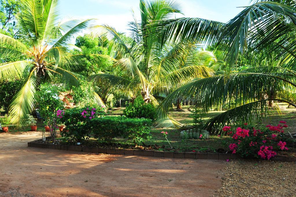 Hotel Coconut Garden House à Uda Walawe Extérieur photo