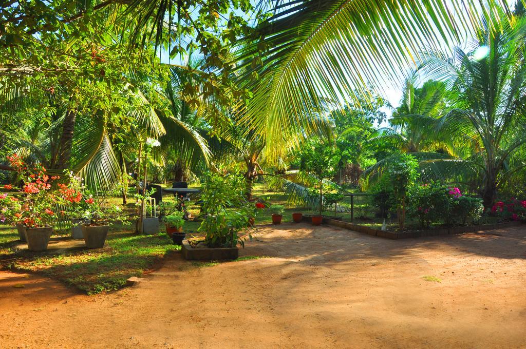 Hotel Coconut Garden House à Uda Walawe Extérieur photo